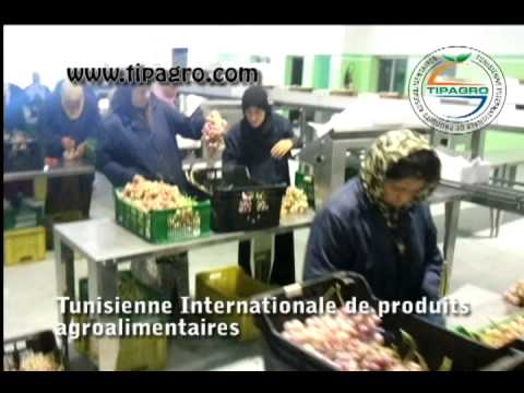 Station Conditionnement de fruits et légumes frais suivant les normes européennes de Qualité et de Traçabilité