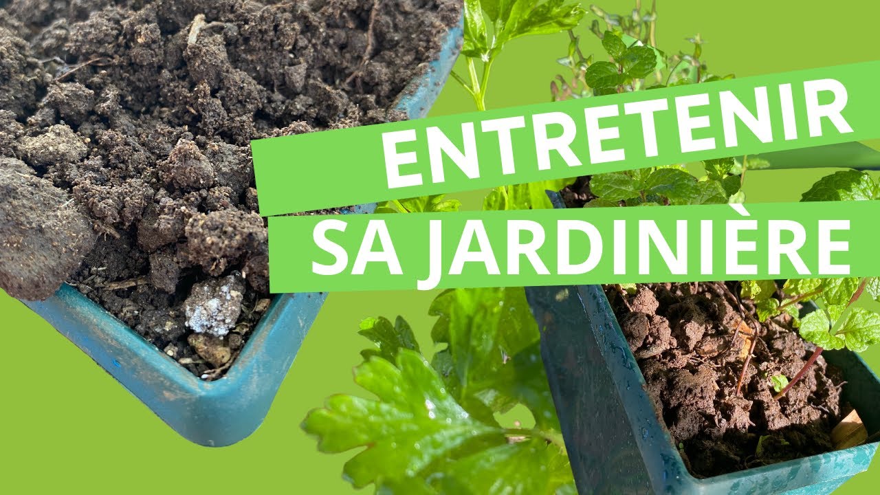 Comment entretenir sa jardinière
