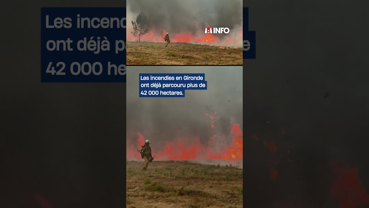 Un contre-feu tactique en Gironde pour tenter de limiter l'incendie