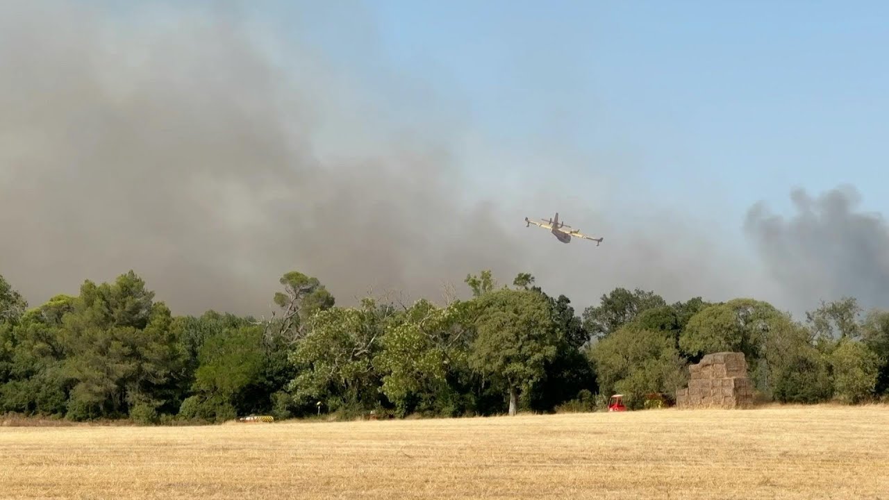 IMAGES | Aude: l'incendie près de Carcassonne fixé