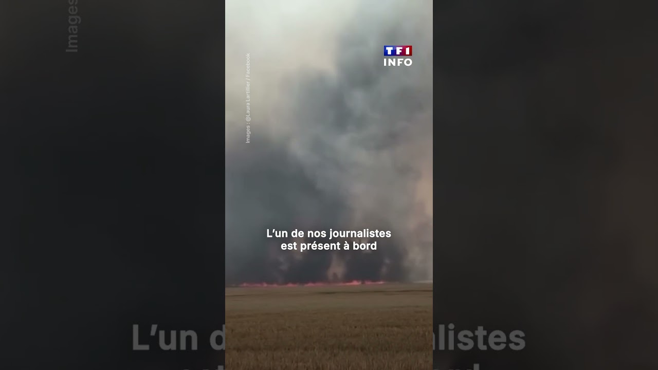 🔴 Les images de l'incendie "très virulent", qui s’est déclaré ce dimanche en Seine-et-Marne｜TF1 INFO