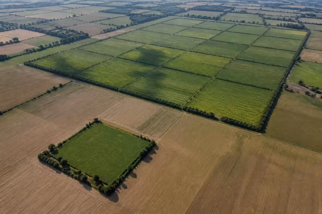 découvrez comment convertir facilement un hectare en kilomètre carré grâce à des explications claires et des exemples simples pour maîtriser cette conversion d'unités de surface.